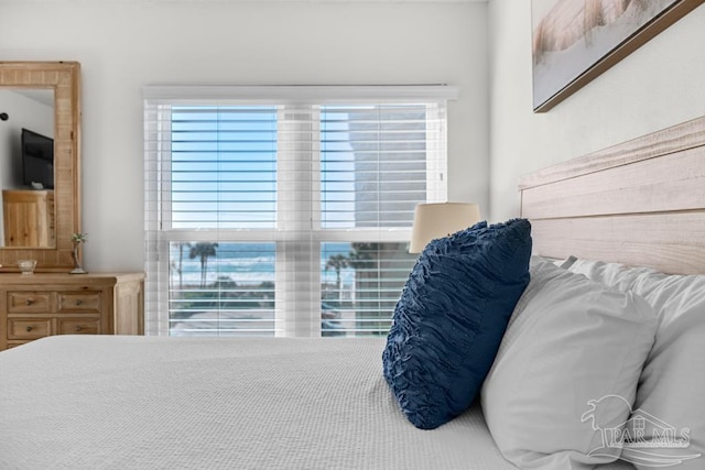 bedroom featuring multiple windows