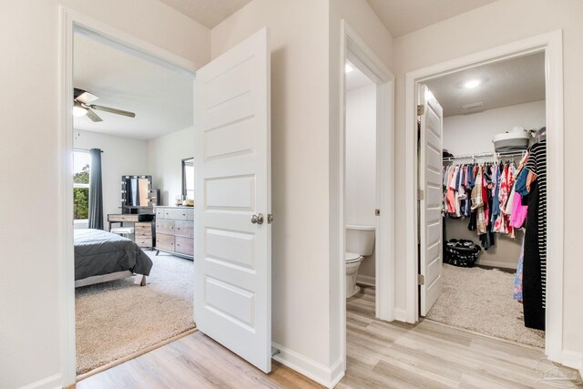 10885 Blacktail Loop, Pensacola, FL 32526 - corridor with wood finished floors and baseboards