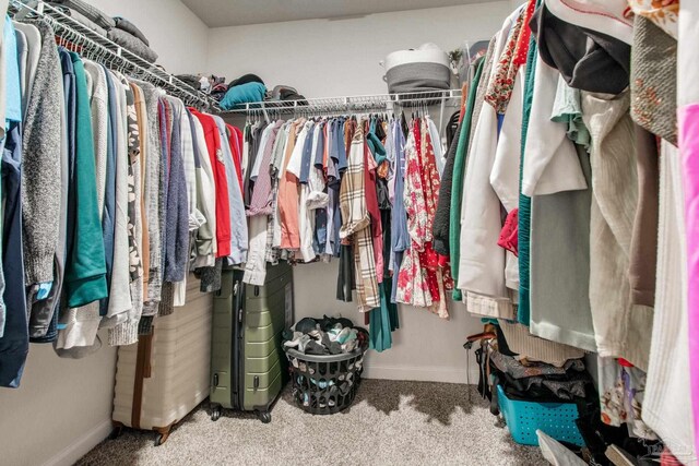 10885 Blacktail Loop, Pensacola, FL 32526 - spacious closet with carpet flooring