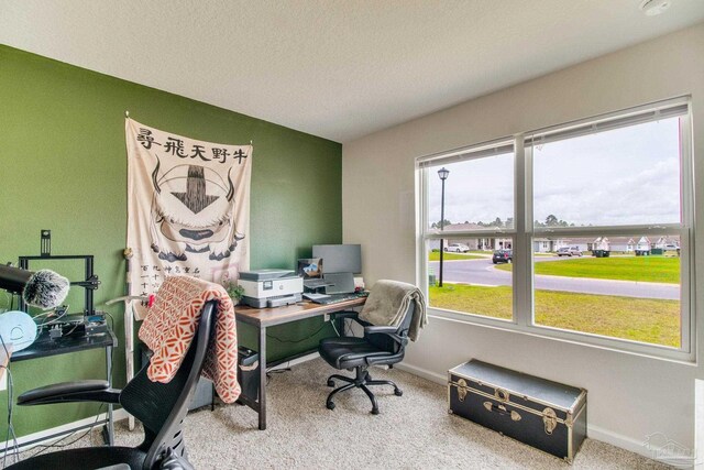 10885 Blacktail Loop, Pensacola, FL 32526 - office area with carpet floors, plenty of natural light, baseboards, and a textured ceiling