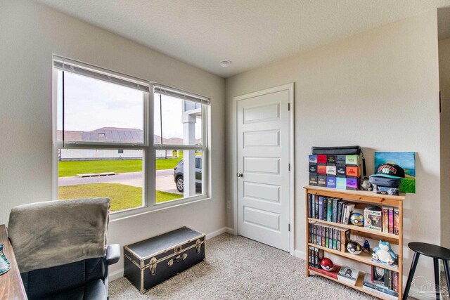 10885 Blacktail Loop, Pensacola, FL 32526 - living area with carpet floors and baseboards