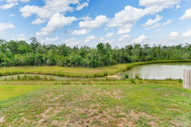 10885 Blacktail Loop, Pensacola, FL 32526 - view of yard featuring a water view and a forest view