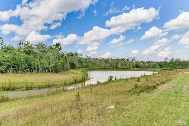 10885 Blacktail Loop, Pensacola, FL 32526 - water view featuring a forest