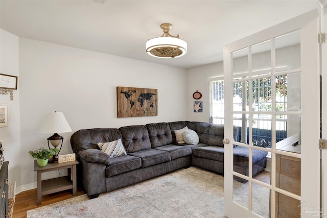 living room with hardwood / wood-style floors