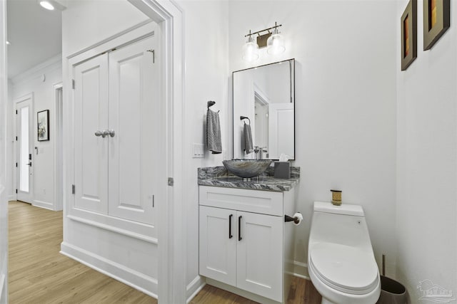 bathroom with vanity, toilet, and wood-type flooring