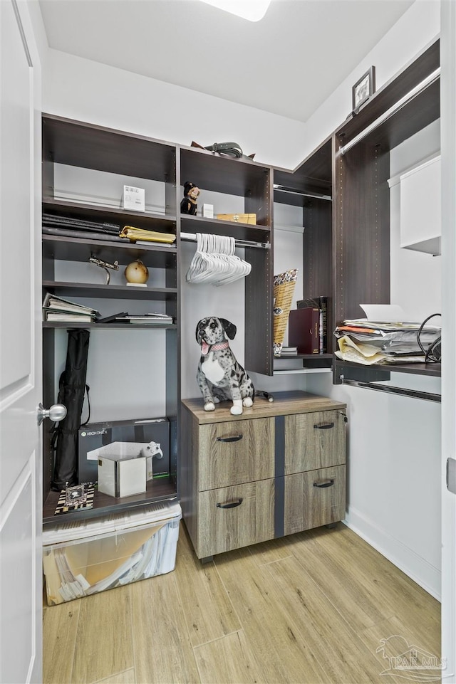 spacious closet with light hardwood / wood-style floors