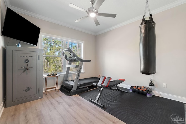 exercise room featuring light hardwood / wood-style flooring, ceiling fan, and crown molding