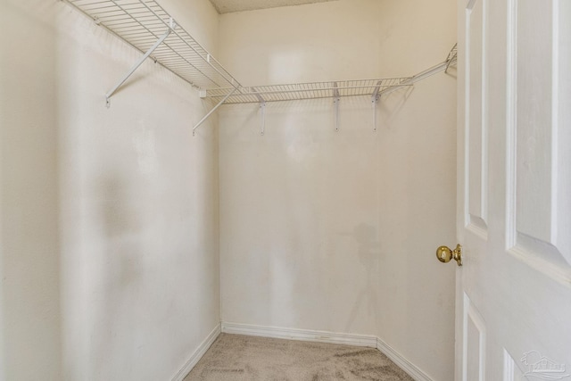 spacious closet with light colored carpet