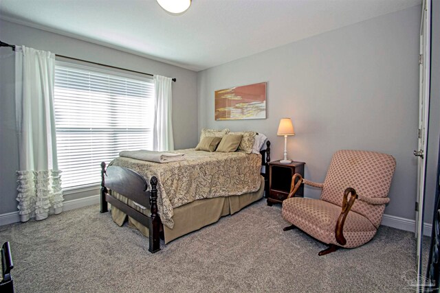 bedroom featuring carpet floors