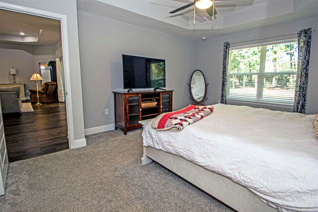 bedroom with a raised ceiling, ceiling fan, and carpet flooring