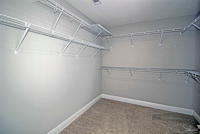 walk in closet featuring carpet