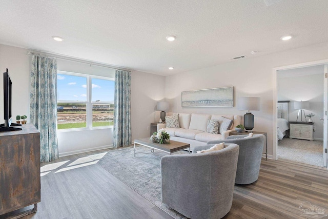 living room featuring hardwood / wood-style floors and a textured ceiling