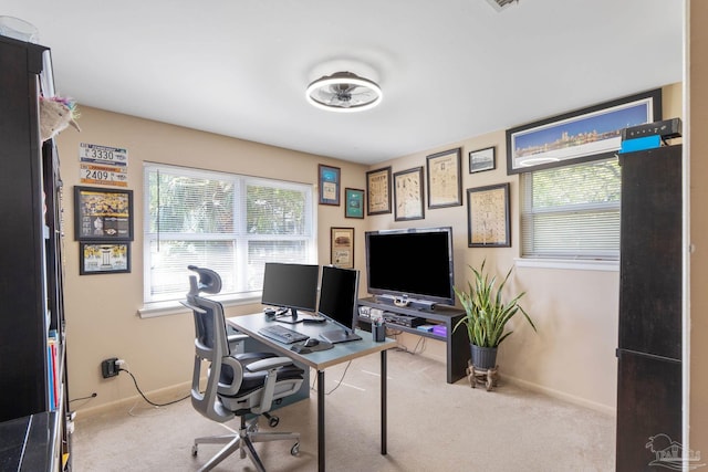 office space with carpet floors, a healthy amount of sunlight, and baseboards