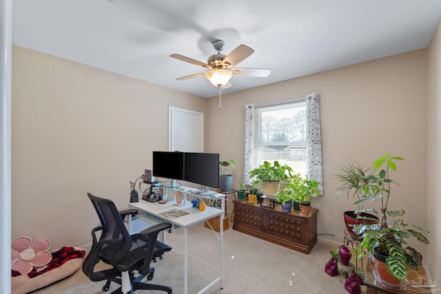 carpeted office with a ceiling fan