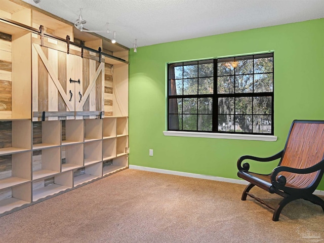 2701 E De Soto St, Pensacola, FL 32503 - unfurnished room with a barn door, carpet, baseboards, a textured ceiling, and rail lighting