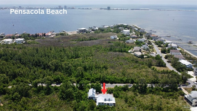 bird's eye view featuring a water view and a wooded view