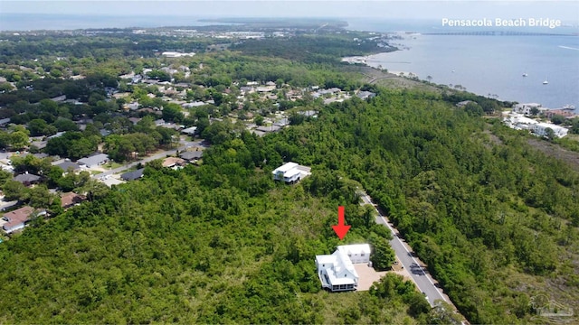 aerial view with a water view and a view of trees
