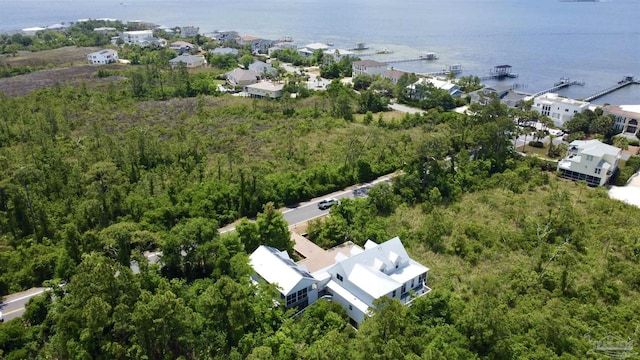 bird's eye view featuring a water view and a forest view