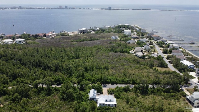 drone / aerial view featuring a water view and a view of trees