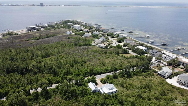 bird's eye view with a residential view, a water view, and a forest view