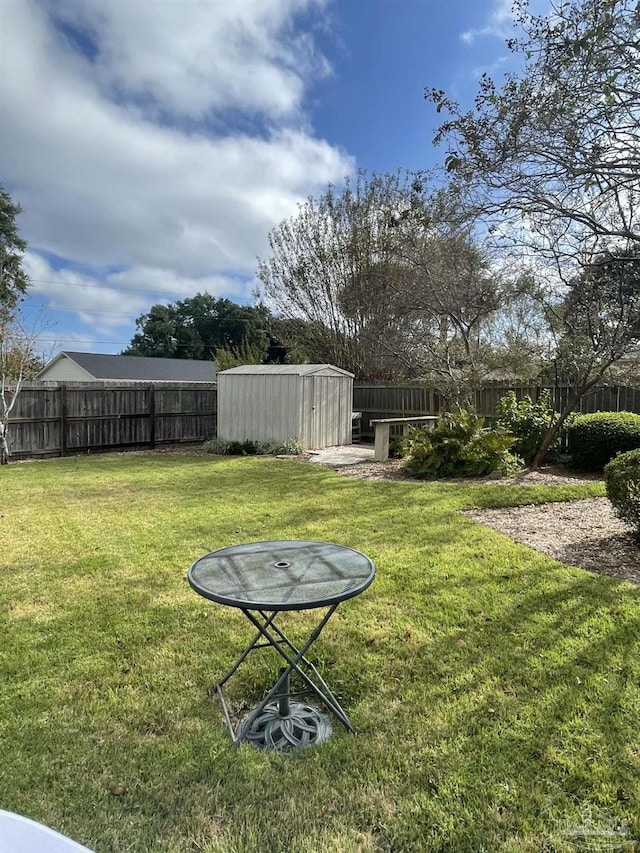 view of yard with a storage shed