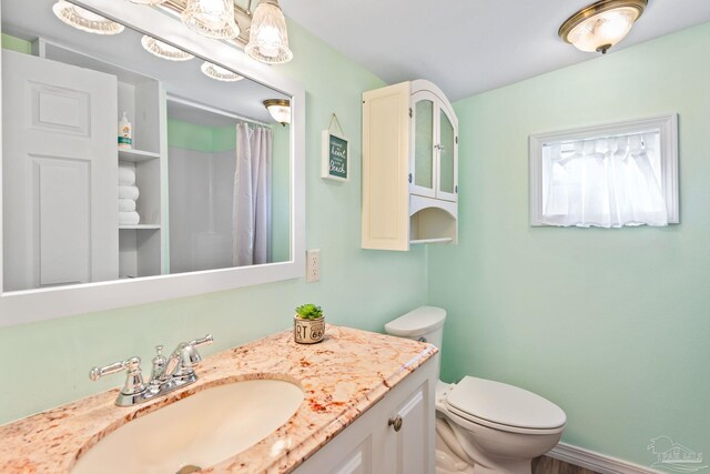 bathroom featuring toilet, vanity, and curtained shower