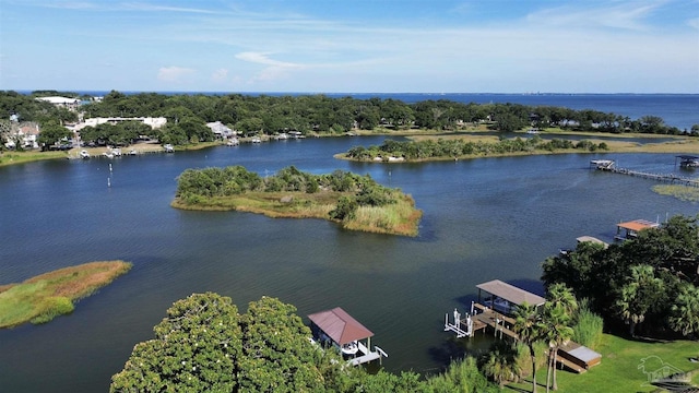 2007 E Gadsden St Unit 105, Pensacola, FL 32501 - drone / aerial view of a large body of water