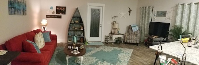 living room featuring hardwood / wood-style floors