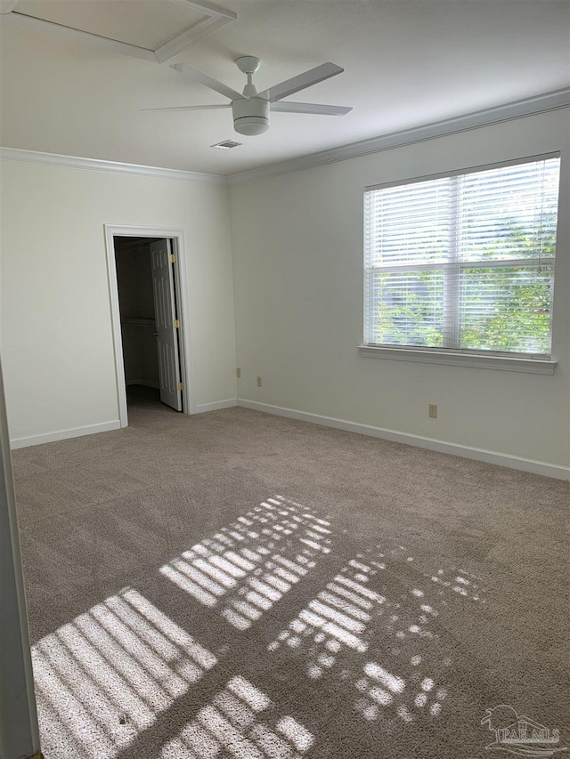 carpeted spare room with ceiling fan and ornamental molding