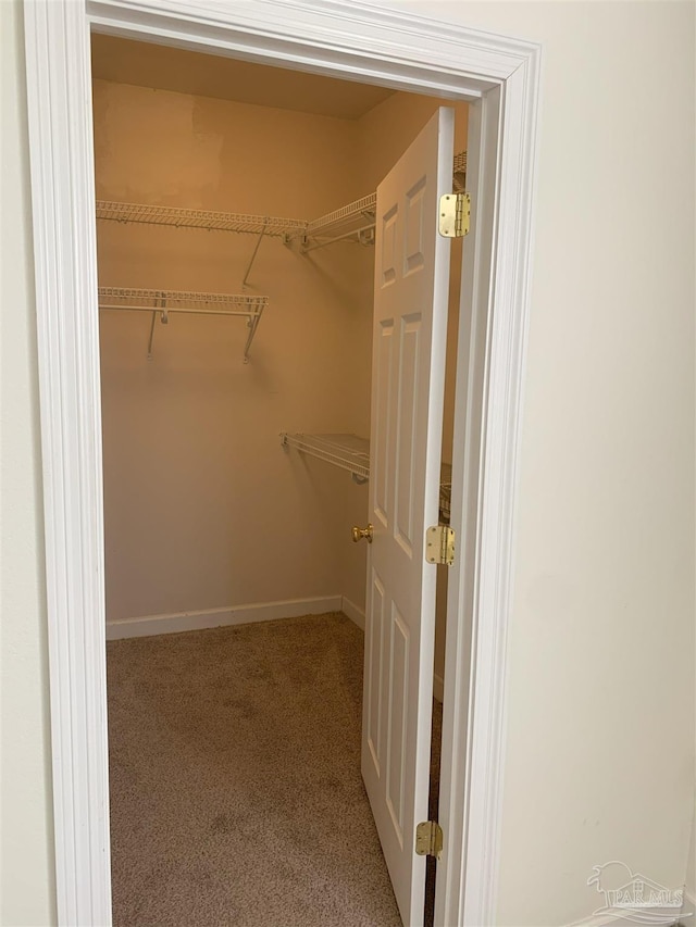 spacious closet with carpet flooring