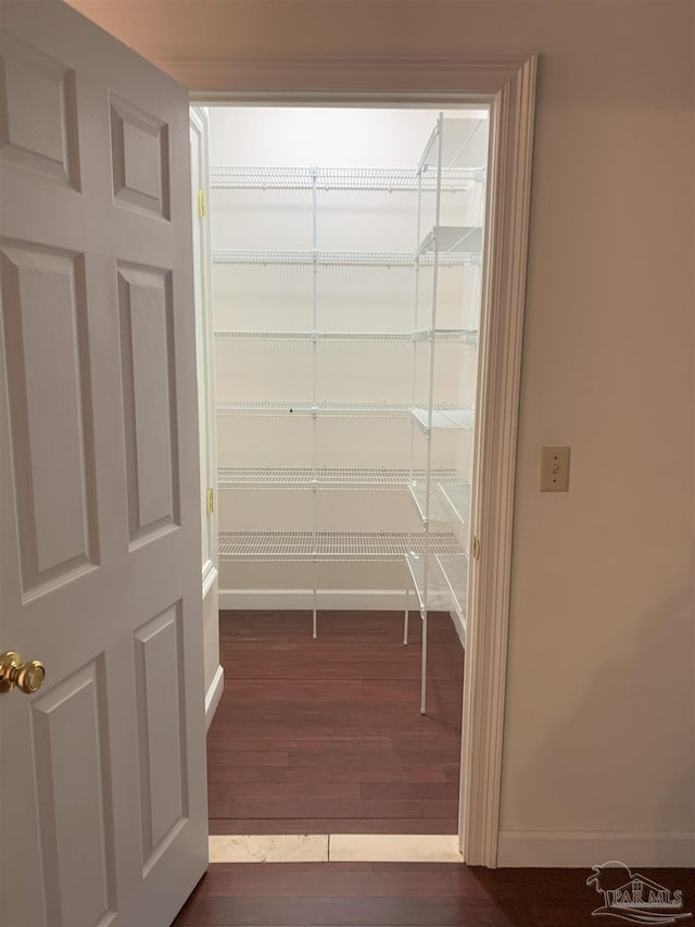 spacious closet featuring dark hardwood / wood-style flooring