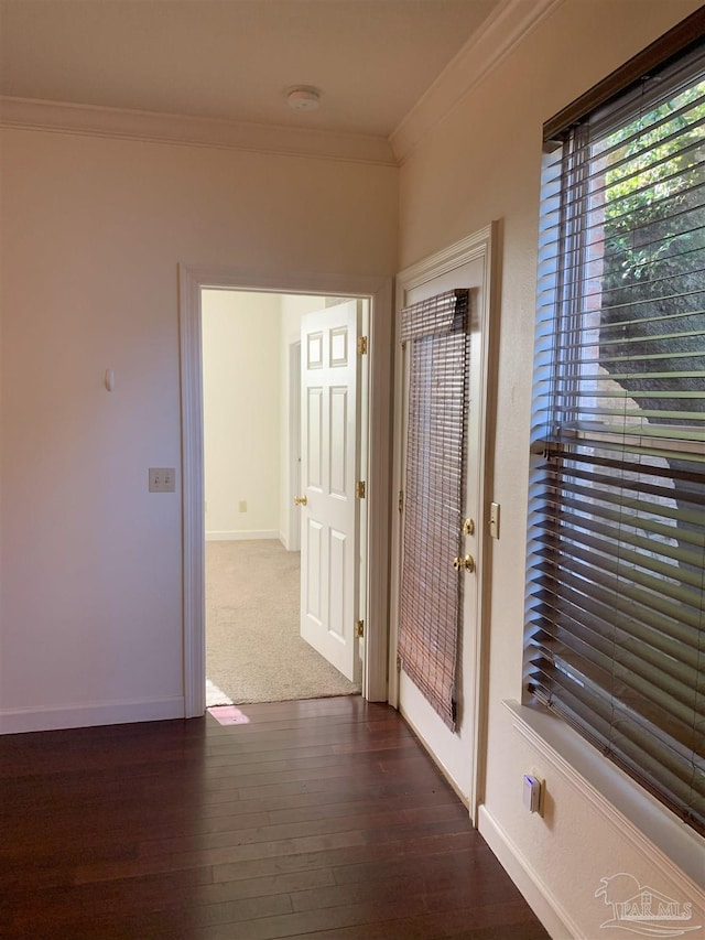 hallway featuring crown molding and dark wood-type flooring