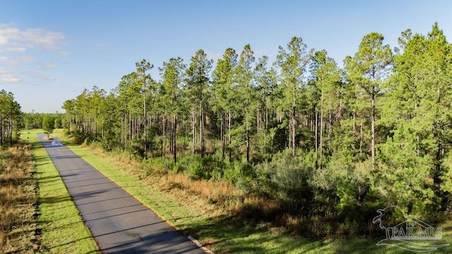 Listing photo 3 for LOT67 Sage Forest Ln, Pace FL 32571