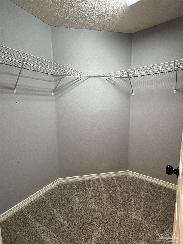 walk in closet featuring carpet