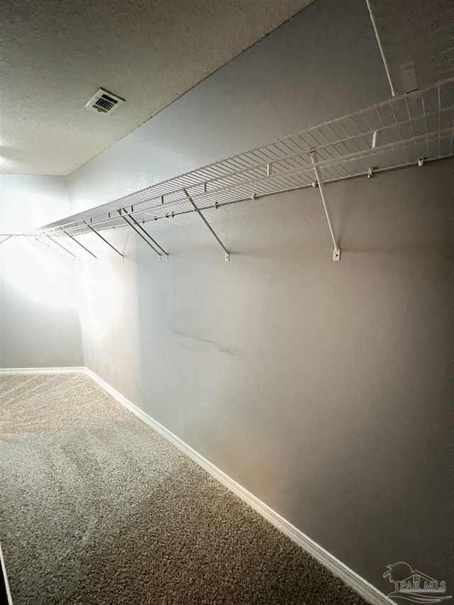 walk in closet featuring carpet