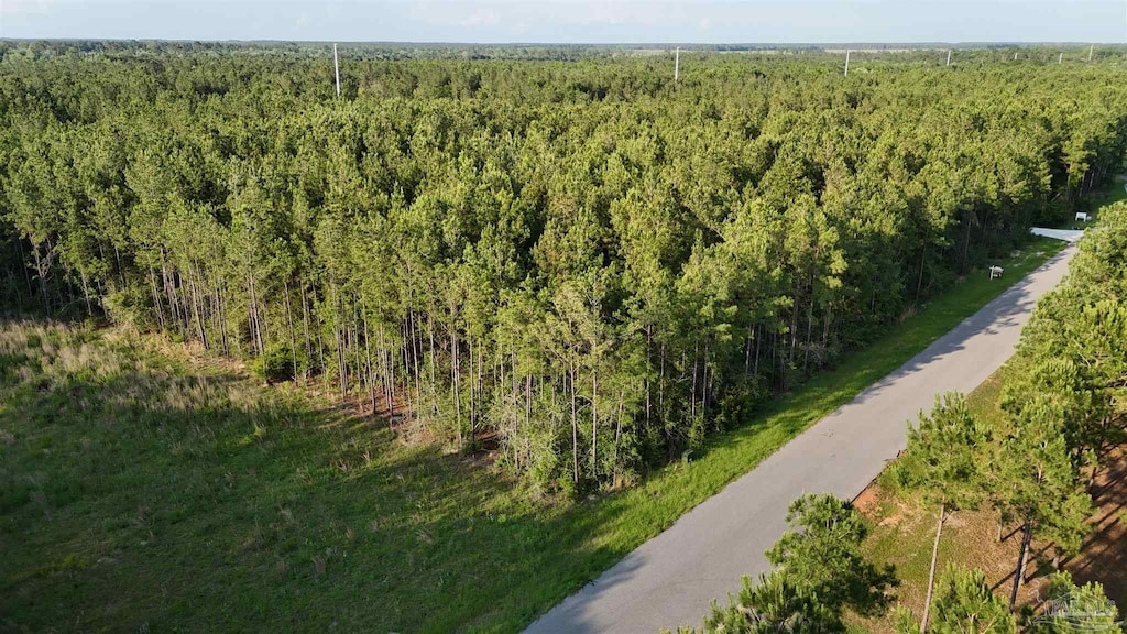 LOT25 Steele Meadow Dr, Pace, FL 32571