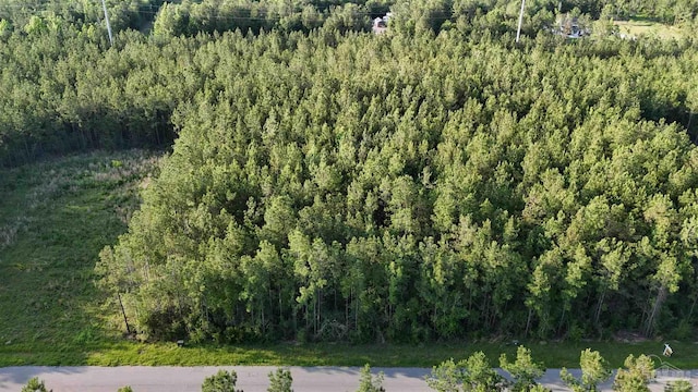 LOT25 Steele Meadow Dr, Pace, FL 32571