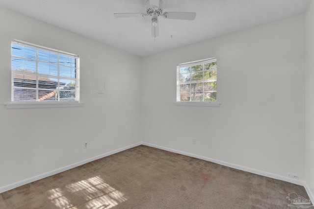 spare room with carpet flooring and ceiling fan