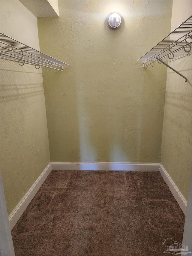 walk in closet featuring carpet floors