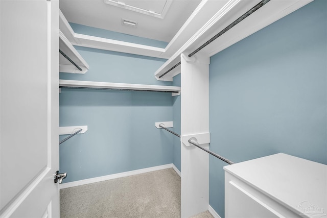 spacious closet with carpet floors