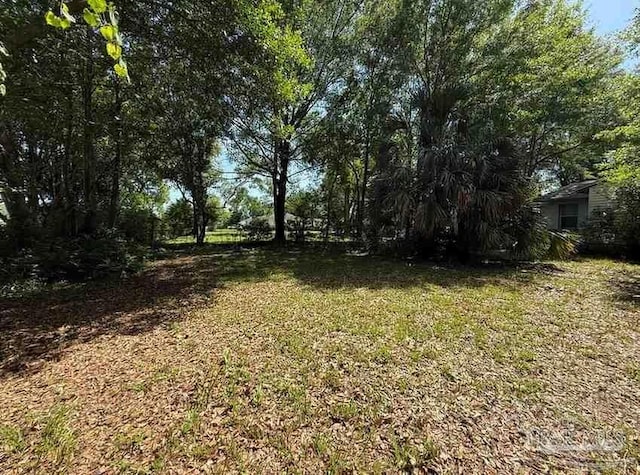 602 Coulter Ave, Cantonment, FL 32533 - view of green lawn