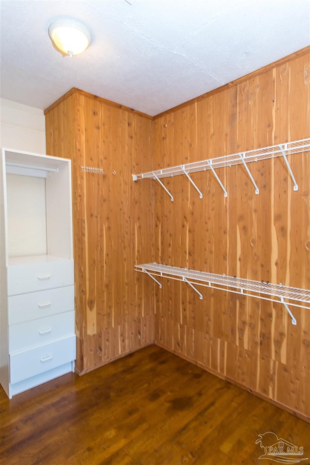 spacious closet featuring dark hardwood / wood-style flooring