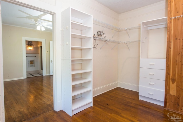 walk in closet featuring dark wood-type flooring and ceiling fan