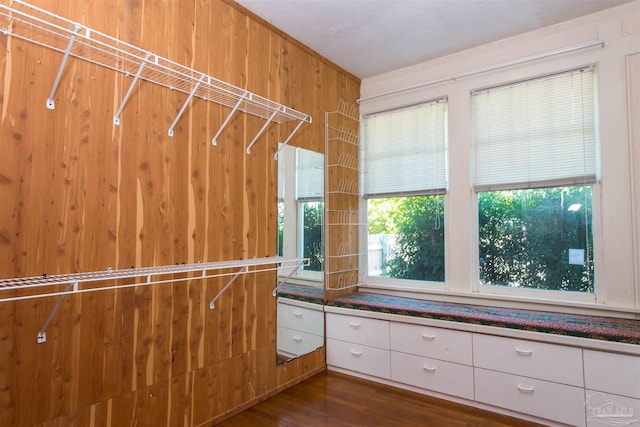 spacious closet with dark hardwood / wood-style floors