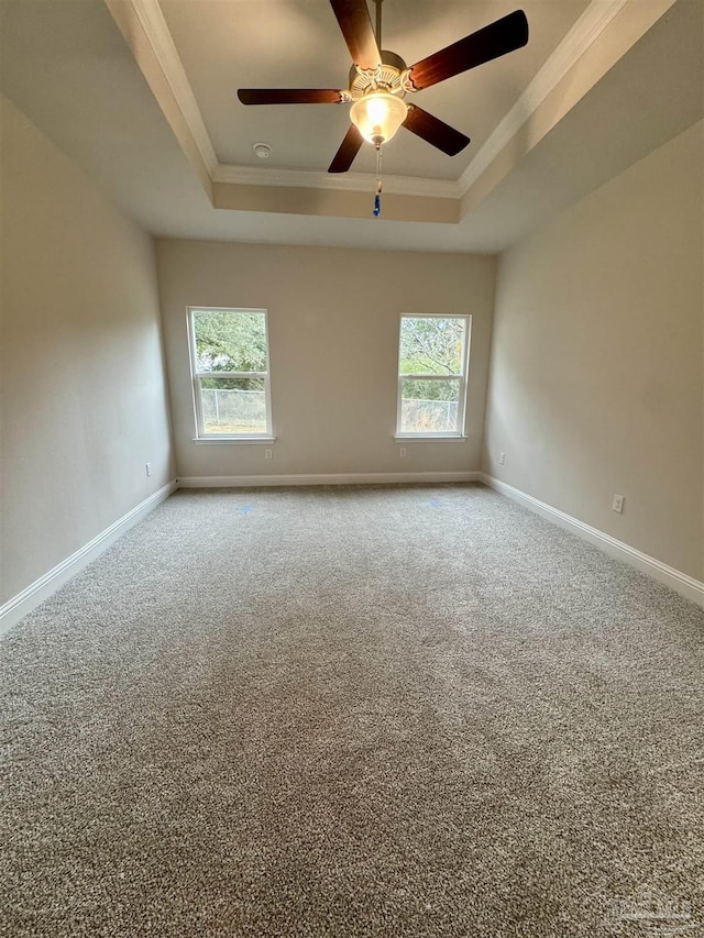 empty room featuring crown molding, a wealth of natural light, and a tray ceiling