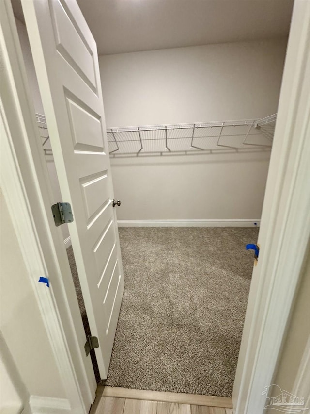 spacious closet featuring wood-type flooring