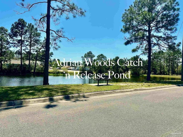 1181 Adrian Way, Milton, FL 32583 - water view