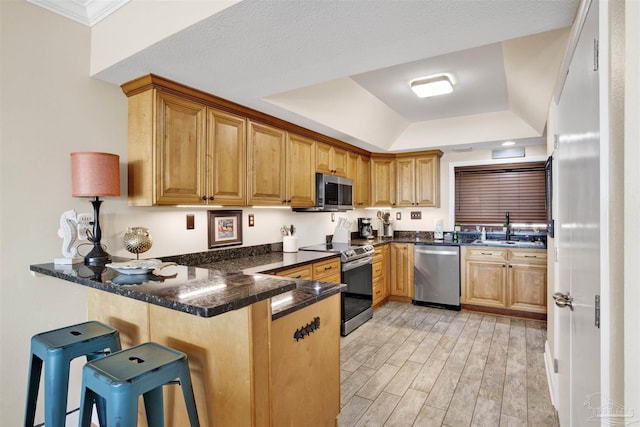 kitchen with a breakfast bar area, light hardwood / wood-style flooring, kitchen peninsula, a tray ceiling, and appliances with stainless steel finishes