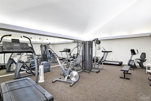 workout area with carpet