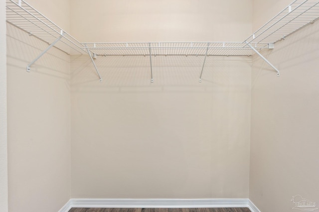 walk in closet featuring hardwood / wood-style floors